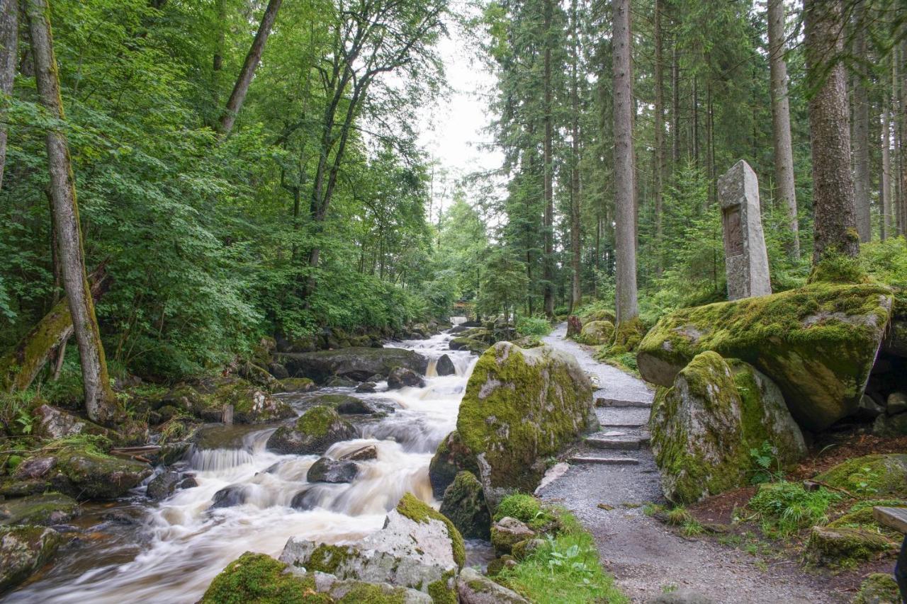 Ferienhaus Nordic Harmony Waldkirchen Dış mekan fotoğraf